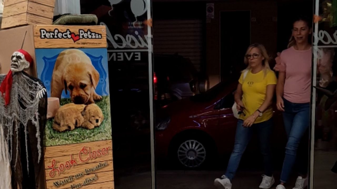 Girls in fits of laughter after falling for classic Halloween scare prank