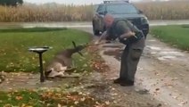 Michigan police officer shoots and kills beloved deer named Annie