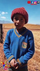 Niño enternece a todos tras jugar con su burrito en Arequipa: "Su compañero de aventuras"