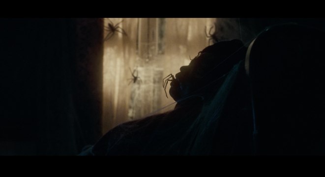 VERMINES TEASER OFFICIEL