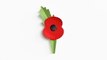 First look at new 100% recyclable poppies as Royal British Legion launches eco-friendly campaign