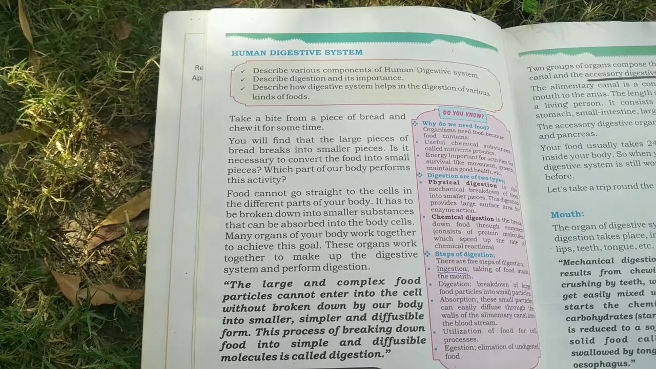 Chapter one degtives   organ human