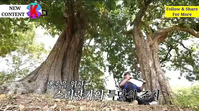 Green Father's Association Episode 2 - Cha In-pyo visits Jamsil Baseball Stadium, A Highest Annual Waste Volume in the Country | 녹색 아버지회 - 옆집 남편들 2화 예고 | Korean Drama - 2nd Episode | @NewKConten