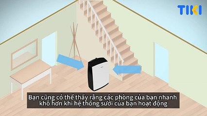 Máy hút ẩm - Thiết bị chân ái mùa nồm ẩm cho gia đình
