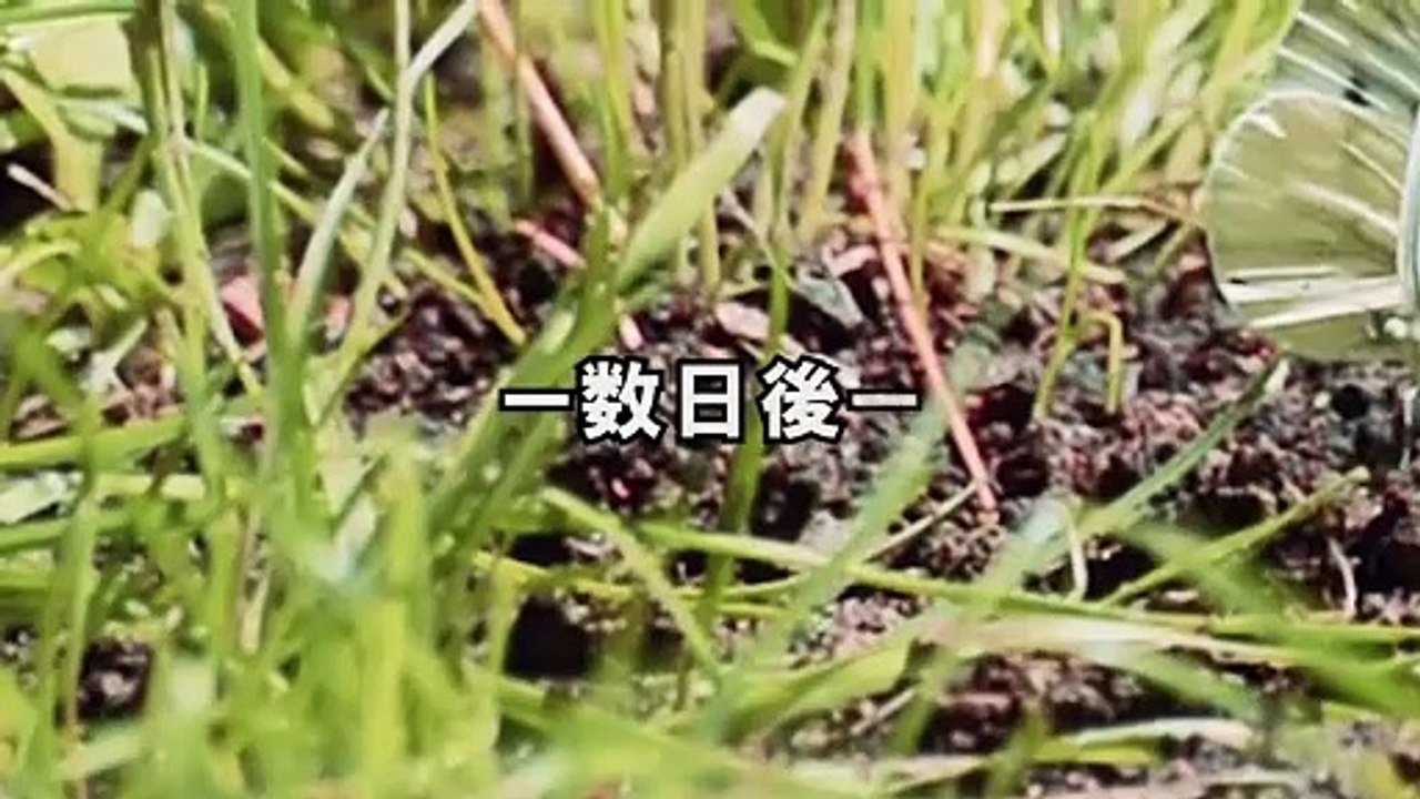 【LINE】俺の母が亡くなり遺産相続の遺言書に自分の名前が無い事に激怒し破り捨てたクズ嫁「これで無効よｗ」→喜ぶアホ嫁に衝撃の真実を告げると…ｗ