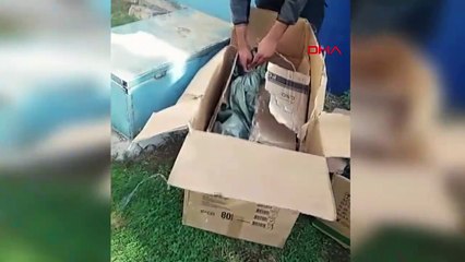 Diyarbakır'da Kedileri Parka Bırakan Kişiye Tepki