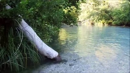 Acheron Gates Of Death River #4 / Western Greece