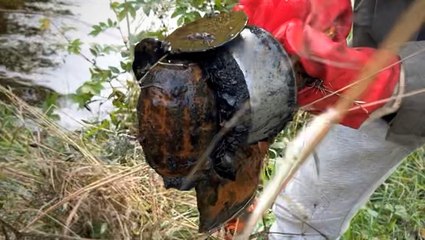 Bomb scare in Scotland as fishermen find live Second World War grenade in canal