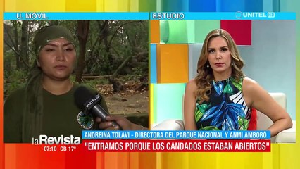 ​Sembradíos de coca fueron hallados en el Parque Amboró