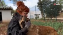 Avec cette vidéo poignante, ce refuge espère trouver une famille pour un chien malvoyant qui attend depuis de longs mois