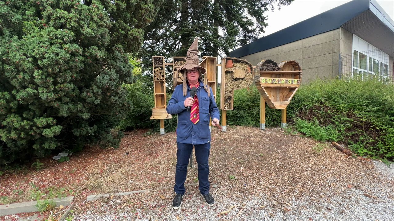 Magie & pluie à Charleroi