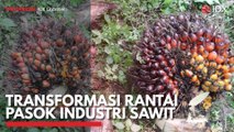Transformasi Rantai Pasok Industri Sawit