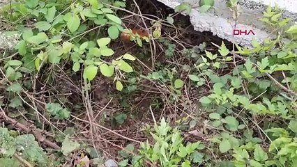 Un bébé abandonné retrouvé dans un canal d'eau à Izmit