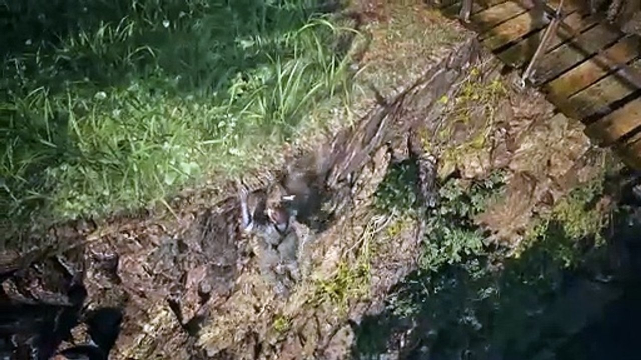 Metal Gear Solid 3 Remake Engine Trailer