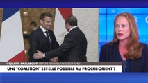 Violette Spillebout: «La visite du président de la République était indispensable pour réaffirmer la solidarité avec le peuple israélien»