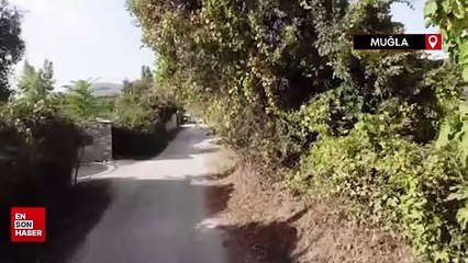 Muğla'daki bu yaylaya çıkılmıyor, iniliyor