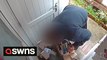 Shocking footage shows 'porch pirate' tearing open parcel with £200 of computer parts