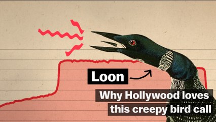 Why Hollywood loves this creepy bird call