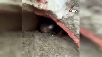 Un tombeau cubique de l'époque romaine a été découvert à Yalova