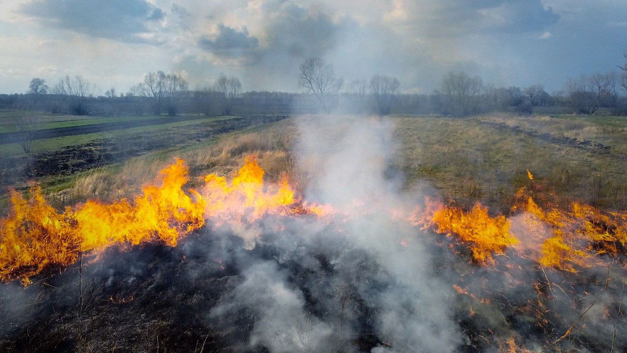 How decades of stopping forest fires made them worse