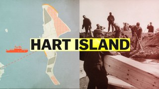 How this New York island became a mass grave