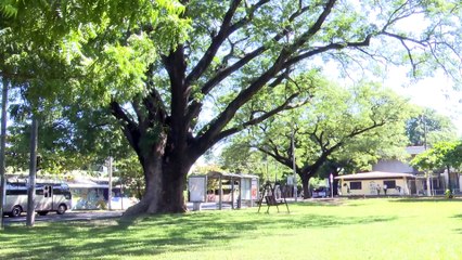 ¿Guanacaste, Moracia o Liberia?