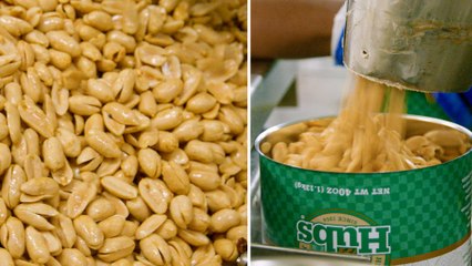 How a Top Peanut Company Produces Millions of Nuts
