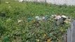 Terreno baldio cheio de lixo traz baratas e ratos para vizinhança do Brejo