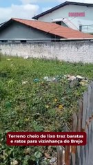 Terreno baldio cheio de lixo traz baratas e ratos para vizinhança do Brejo