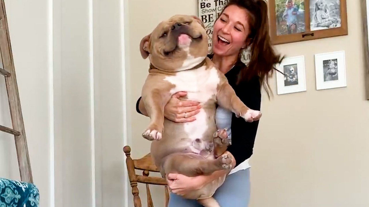 Woman Gets 'Perfect Dog' From Breeder Then Realizes Something's Wrong