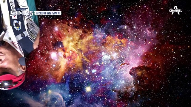 오늘 저녁은 돌돔이다♥ 더블 낚싯대 박프로의 쿨한 돌돔 기부!