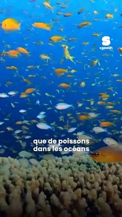 ❌ En 2050 : + de plastique que de poissons dans les océans