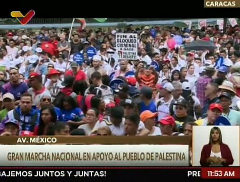 Vpdte. de Mov. y Eventos Nahum Fernández lidera movilización en apoyo al pueblo palestino