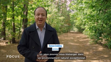 Réalité augmentée, IA et robotique : découvrez la "Silicon Forest" polonaise