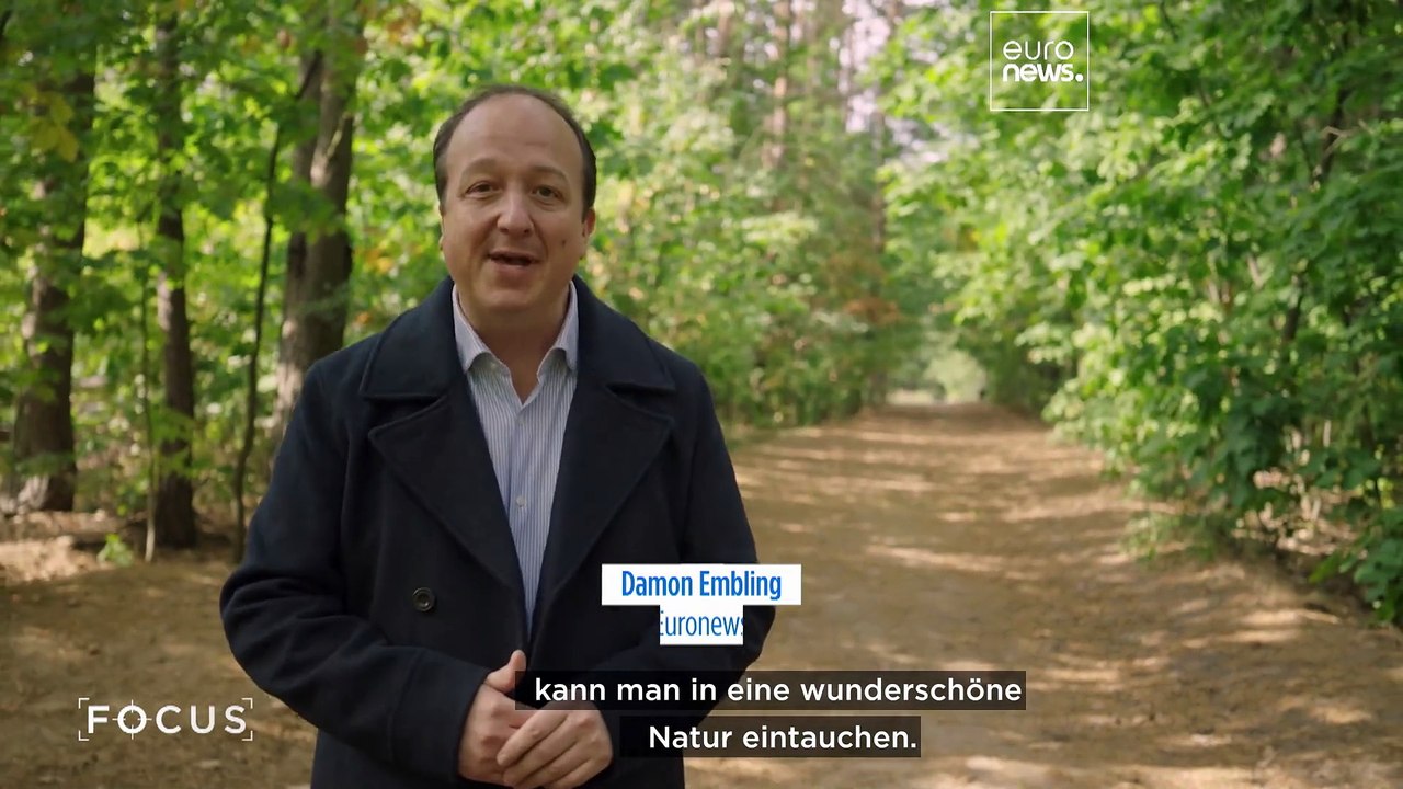 Podlachien: Der 'Silicon Forest' Polens