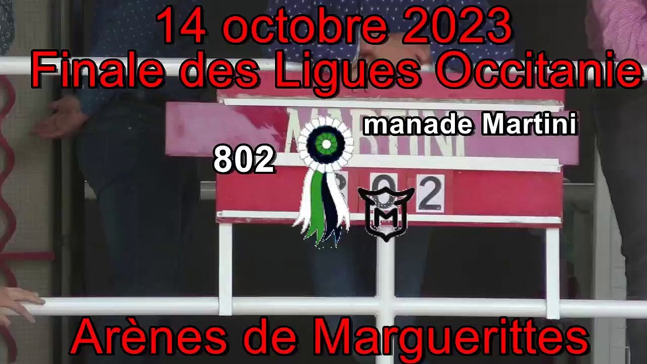 2023 10 14 802 Martini