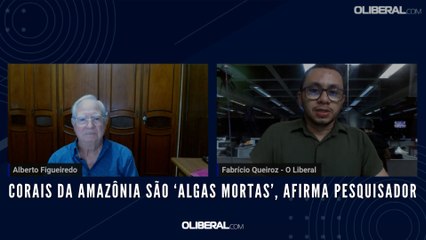 Corais da Amazônia são ‘algas mortas’, afirma pesquisador