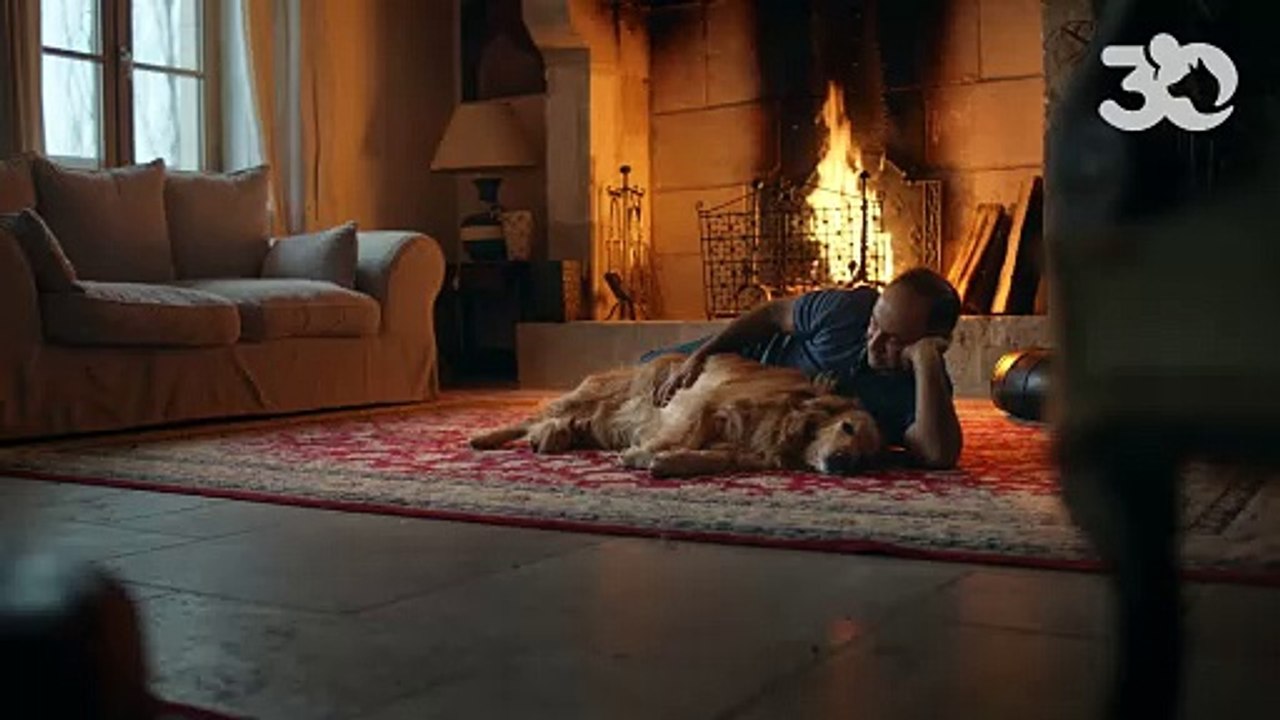 L'organisme l'a dévoilé ce jeudi 26 octobre sur les réseaux sociauxLe nouveau spot publicitaire de la Fondation 30 millions d'amis, avec la voix de Pomme reprenant le titre "Love Me Tender" d'Elvis Presley