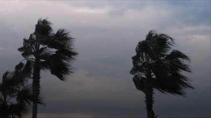 At Least 27 Dead After Hurricane Otis Devastates Acapulco