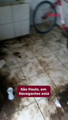 Banheiro de ginásio do bairro São Paulo está na pior