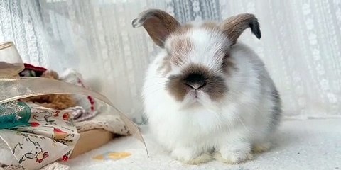 The Work Party pt 2 Jayden Cole, Nicole Doshi