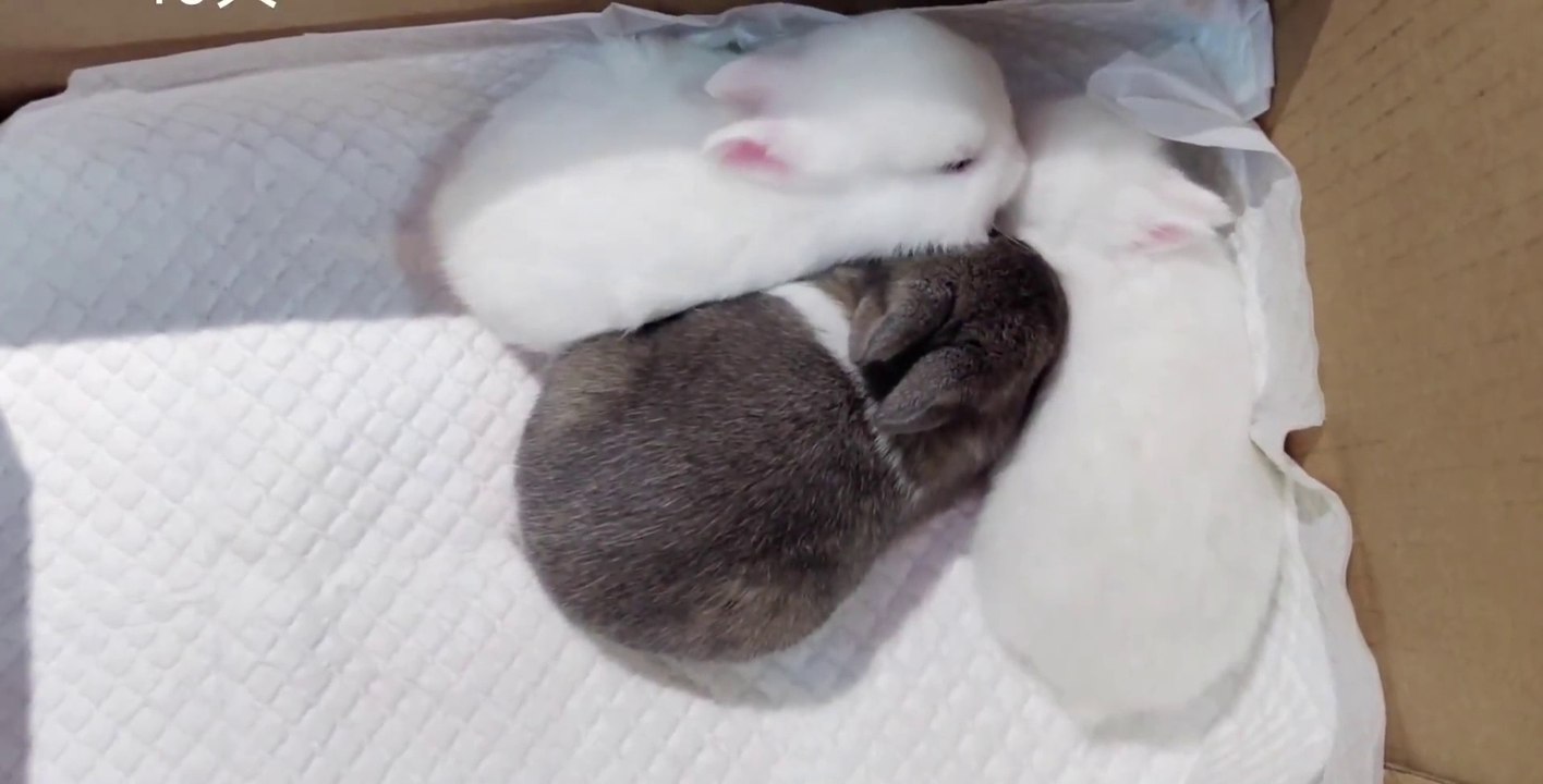 Delilah Day All About Delilah