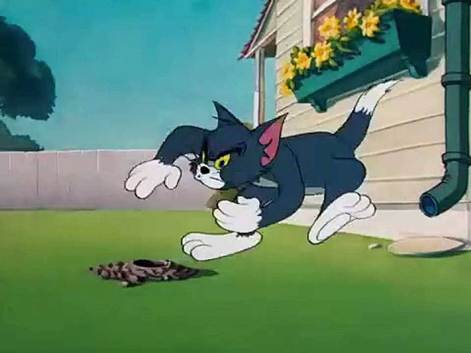 Safety Second tom and jerry
