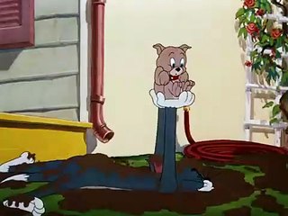Slicked-Up Pup tom and jerry