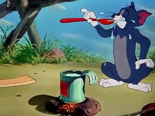 Just Ducky tom and jerry