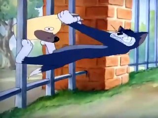 Tom and Jerry - 016 Puttin' on the Dog (1944)