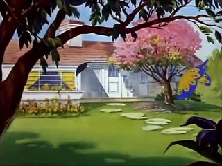 Tom and Jerry, 23 Episode Springtime for Thomas 1946
