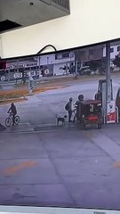 Sujeto mata a perro lanzándole un cuchillo.