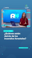 Download Video: ¿Quiénes están detrás de los incendios forestales?