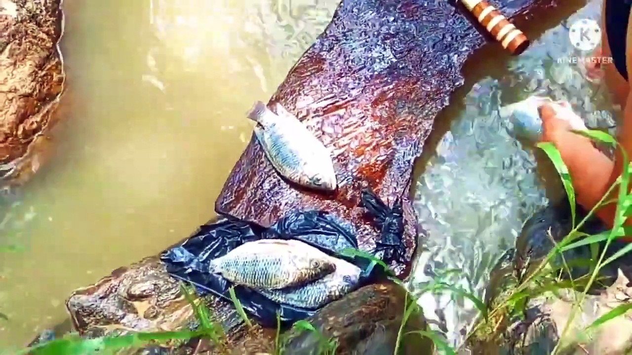 The Vietnamese challenge of going to streams and grilling fish